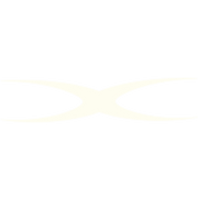CARMINE logo